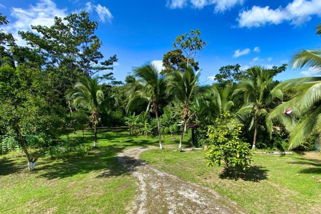 Into The Greens Madre de Dios Exterior photo