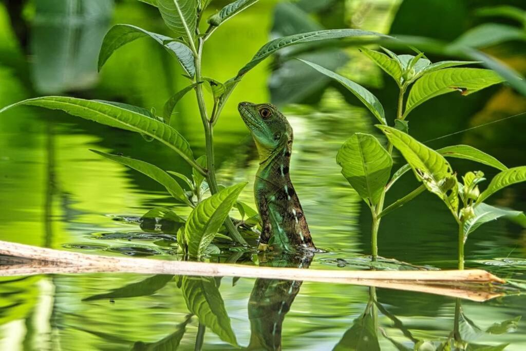 Into The Greens Madre de Dios Exterior photo