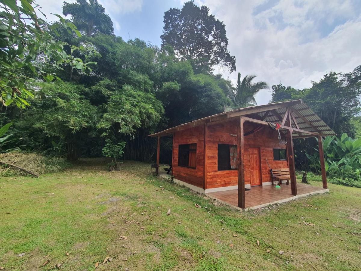 Into The Greens Madre de Dios Exterior photo