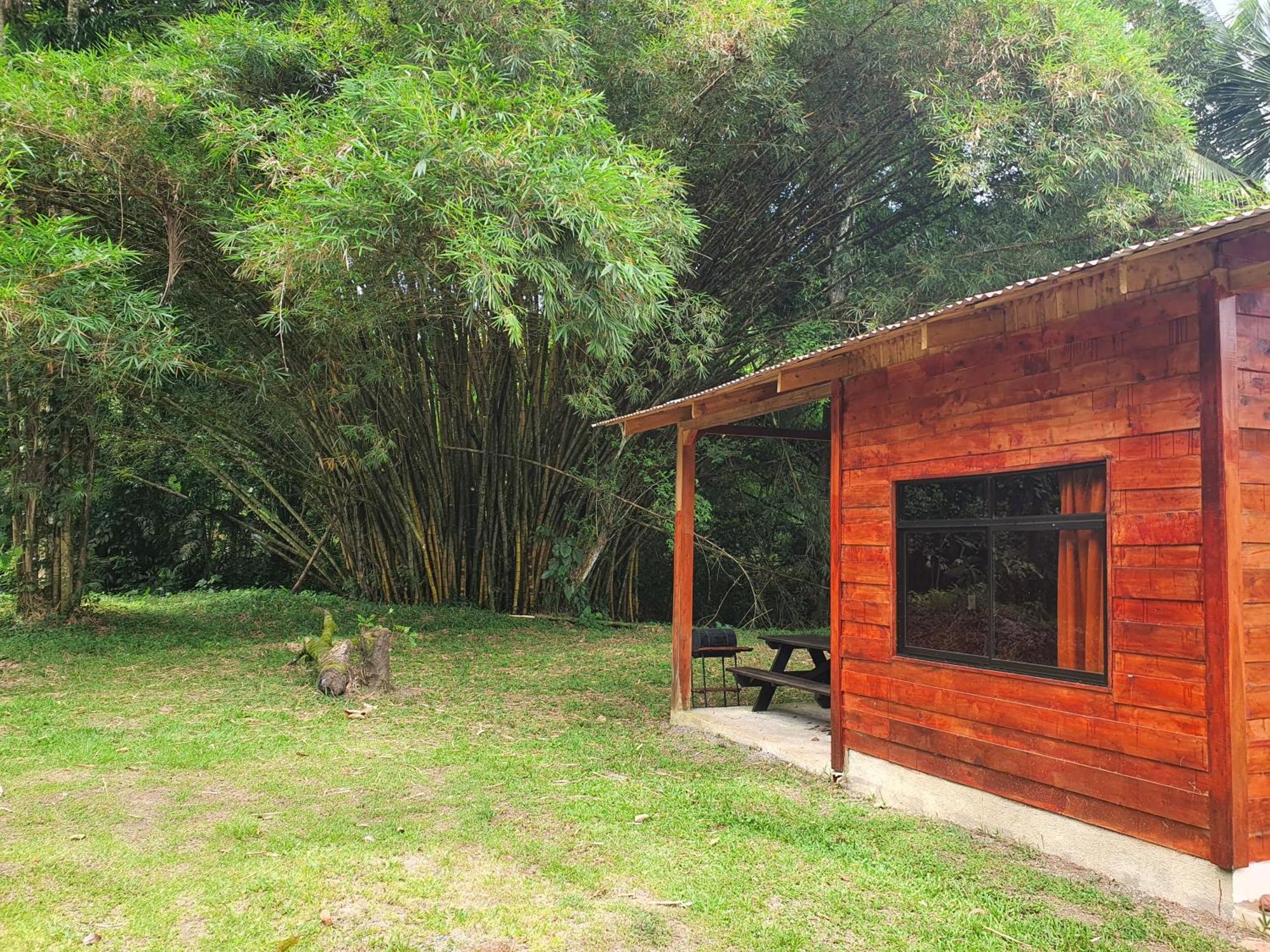 Into The Greens Madre de Dios Exterior photo